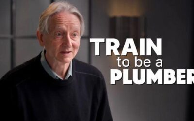 AI jobpocalypse: Godfather of AI says train to be a plumber to survive